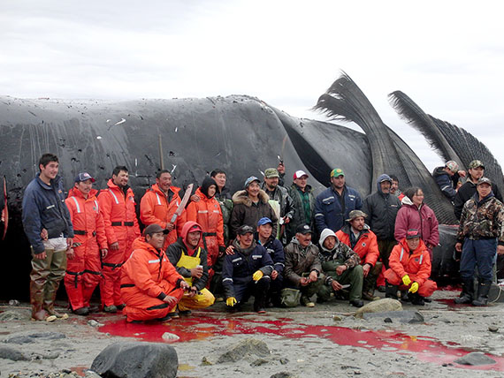 The Nunavik whaling crew poses for a picture Aug. 23 at at Qitik camp, where they butchered the animal. (PHOTO BY LALLY SAKIAGAK GREG)