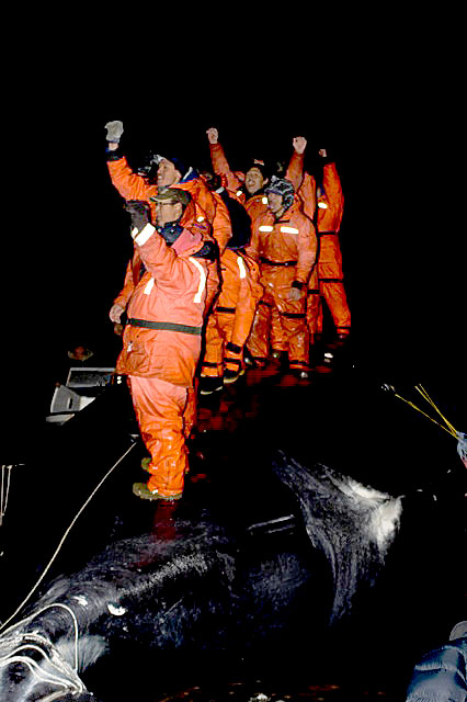 Cape Dorset bowhead whale hunters pose for a picture while standing on the big bowhead whale they landed Sept. 29., about 40 km east of the community. (PHOTO COURTESY OF JOHN CORKETT)