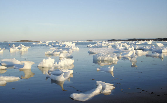 As the Arctic melts and warms, feedback effects will hasten the likelehood of global disaster increases, a new report from the World Wildlife Fund warns. (PHOTO BY JANE GEORGE)