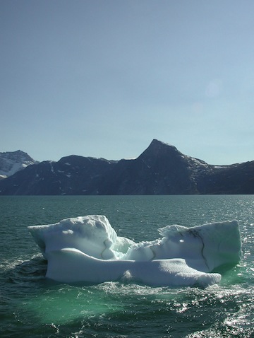 Ocean acidification is expected to increase as sea ice cover decreases due to global warming. 