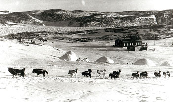 A dog team departs a Nunavik community, in an undated file photo from the 1950s. (FILE PHOTO)
