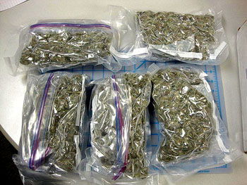 RCMP, with the help of Canada Post security, recently seized these bags of weed that some people in Coral Harbour were attempting to mail to their community. (PHOTO COURTESY OF RCMP)