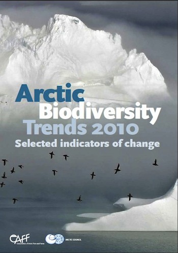Climate change is bad news for the plants and animals— and people— who live in the Arctic, says a new report on biodiversity in the Arctic.