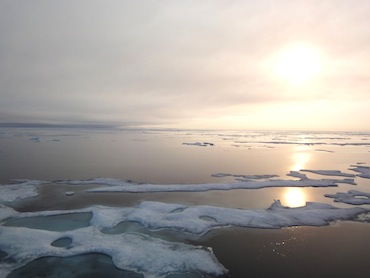 Ice conditions in the Northwest Passage change quickly. After plowing through heavy, multi-year ice for most of the day on Aug. 9, by evening the Amundsen moves quickly easily navigable, thin ice. (PHOTO BY JANE GEORGE)