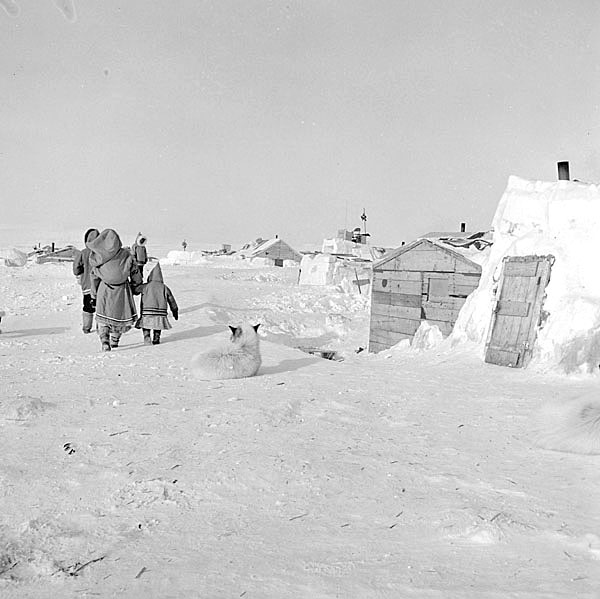 Resolute Bay, 1953 (PHOTO BY GAR LUNNY/NATIONAL FILM BOARD OF CANADA/ LIBRARY AND ARCHIVES CANADA )