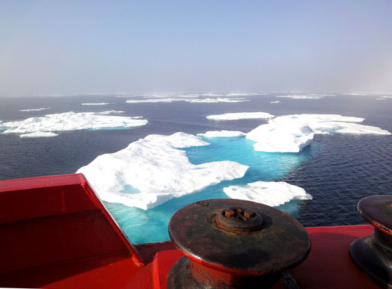The Amundsen enters an ice field Aug. 4 as it heads north through Baffin Bay, where within hours the ship was plowing through heavy ice. (PHOTO BY JANE GEORGE)