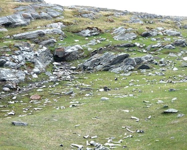The Aivirtuuq peninsula near the community of Kangiqsujuaq is home to many archeological sites, including Saunitarlik or the “river of bones,