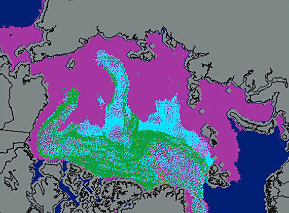 This image from the National Snow and Ice Center shows how little multi-year ice (in green) remained in the Arctic at the end of March. New data on ice age shows that the amount of older, thicker ice increased slightly over last year. Ice more than two years old is shown in blue and first-year ice in pink on this image. The amount of older ice remains much lower than in the mid-1980s, and there is still almost none of the oldest ice, older than four years old, that used to dominate much of the Arctic Ocean. Arctic sea ice cover for the month of March 2011 was the second lowest in the satellite record, the NSIDC announced last week. Air temperatures over most of the Arctic Ocean were above normal. (IMAGE/NSIDC)