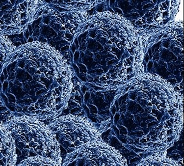 Silver nanoparticles are used to make fabric odor-resistant — but they have the potential to be