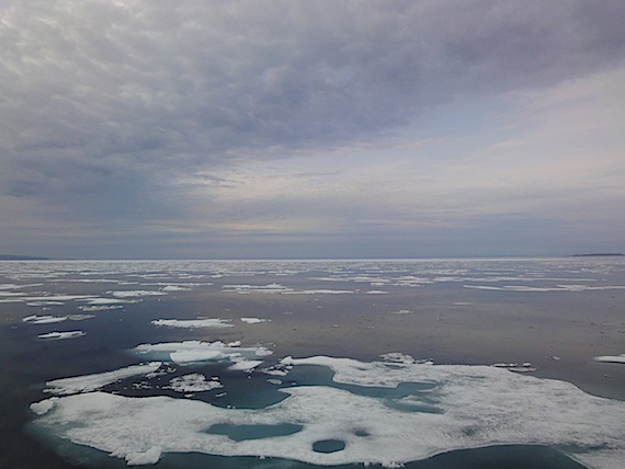 Summer Arctic sea ice may be gone within 40 years, says a new report from the Arctic Monitoring and Assessment program. (PHOTO BY JANE GEORGE)