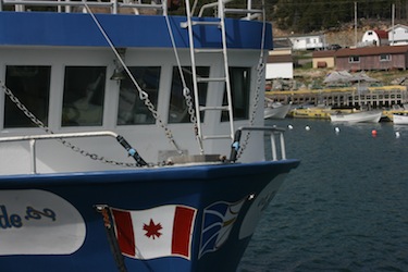 An Oceans North Canada-led expedition will travel on this crab trawler that has been converted into a research vessel and re-baptized as the Arctic Endeavour. An eight-member crew will follow the migration path of the narwhal from Disko Bay in Greenland to Nunavut’s Lancaster Sound. (PHOTO COURTESY OF OCEANS NORTH CANADA)