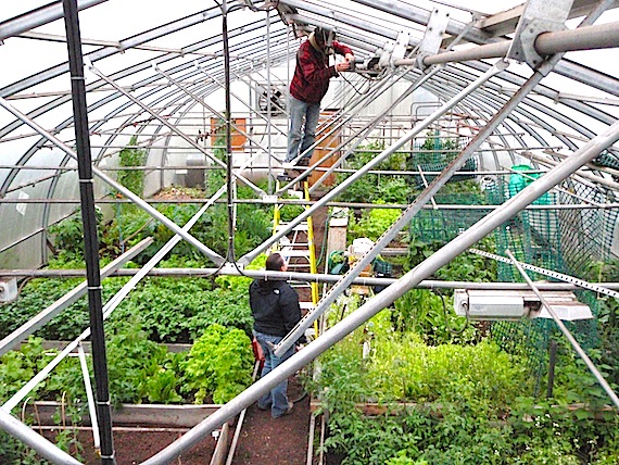 Gardeners in Kuujjuaq got money from the Kativik Regional Government this summer so they could repair the community's greenhouse, where many people grow their own vegetables. And more help for Kuujjuaq's aspiring gardeners could be on the way. As part of its Plan Nord development plan, launched this past May, Quebec pledged to create of a 