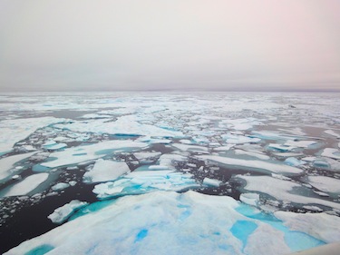 Scientists say there's widespread replacement of the Arctic’s most mature ice masses, which show up in this photo as tinged with blue, by much younger, thinner and weaker sheets of ice. (PHOTO BY JANE GEORGE)