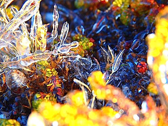 This photo taken by Greenlandic photographer Gert Hansen in Qaqortoq, Greenland captures the autumn colours of the land as they give way to winter. (PHOTO BY GERT HANSEN)