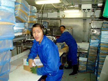 Niqitaq Fisheries Inc. staff package their catch onboard the Inuksuk I. (PHOTO COURTESY OF BAFFIN FISHERIEIS COALITION)