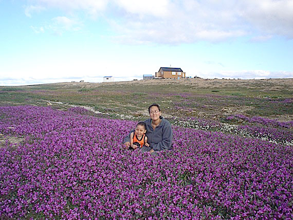 During July, the land around Cambridge Bay in western Nunavut is covered in flowers, as this photo, 