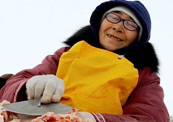 Margaret Nakashook uses her ulu with skill and wins the muskox fleshing contest during Cambridge Bay's Omingmak Frolics. (PHOTO BY RED SUN PRODUCTIONS)