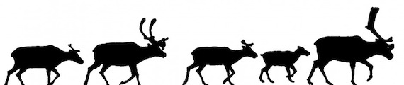 Makita's new website features this line of caribou as its banner.