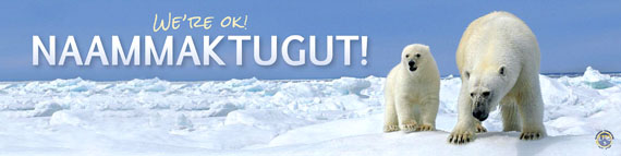 Nunavut Tunngavik Inc. will distribute this bumper sticker at the Convention on International Trade in Endangered Species meeting in Thailand next March. (IMAGE COURTESY OF NTI)