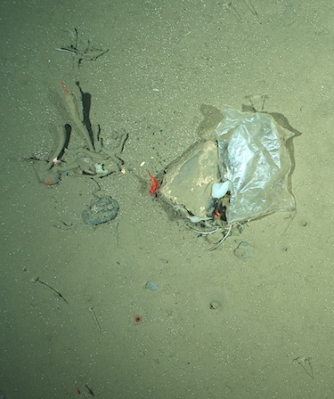 Here's a view of the kind of litter that photos taken of the Arctic seabed reveal. (PHOTO COURTESY OF THE ALBERT WEGENER INSTITUTE)