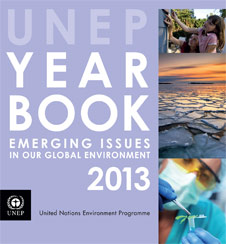 The 2013 UNEP Year Book wants to see a slow-down in the pace of Arctic development.