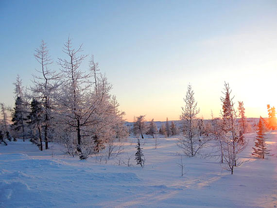 Kuujjuaq looks like a winter wonderland at sunset due to fresh snow and relatively warm temperatures. Read about how Kuujjuaq's winter bucks normal trends later on Nunatsiaqonline.ca. (PHOTO BY JANE GEORGE)