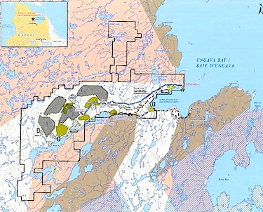 On this map from the project description of the Hopes Advance iron mine project, you can see how large the proposed project is. (FILE IMAGE)
