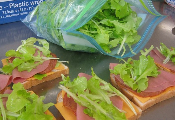The fresh, green lettuce on these sandwiches, prepared for residents at the YWCA shelter in Iqaluit, was home-grown at the Iqaluit Community Greenhouse, whose members have donated some of their harvest of vegetables to the city's shelter, soup kitchen and other organizations. If you want to help out the society and learn more about the greenhouse, the greenhouse society's members will hold a bake sale and offer greenhouse tours Aug. 3, starting at about 11 a.m. For more information or to donate baked goods, contact the greenhouse society at iqaluitgreenhouse@yahoo.ca. (PHOTO COURTESY OF THE YWCA/IQALUIT)