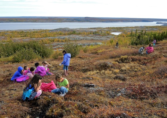 Pitakallak Elementary School's annual berry-picking outing on the plateau outside Kuujjuaq Sept. 26 in which you can see a group of students and teachers picking berries — with some just eating them. (PHOTO BY ISABELLE DUBOIS)