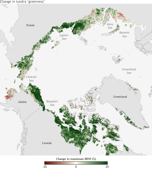 This map shows areas where the rate of greening has increased since 1982, with denser vegetation and the spread of taller shrubs. (NOAA HANDOUT IMAGE)