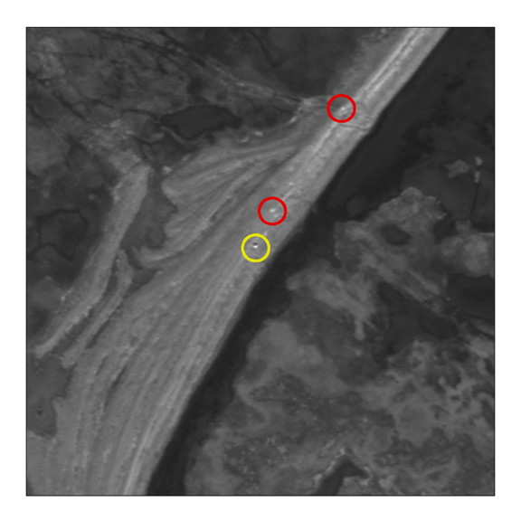 In this 2012 satellite image above, the yellow circle indicates a bear and the red circles indicate other objects such as rocks or gravel piles. University of Minnesota researchers determined that by examining another satellite image, below, from months later, which shows the image from the yellow circle has moved on but the other objects remained in place. (IMAGES COURTESY OF DIGITAL GLOBE, INC. 2012)