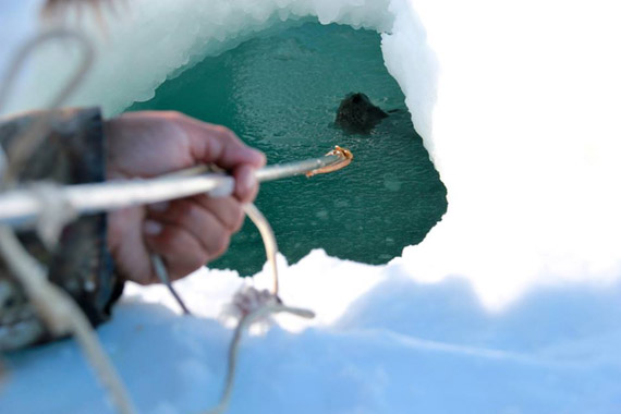 Eunice in Taloyoak snapped this hunting shot near Taloyoak and entered it in the Government of Nunavut's