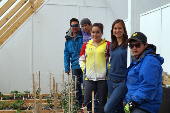 Meet the staff helping to grow Arviat's greenhouse project this summer: from left, Andrew Kuksuk, Joe Curley, Megan Gavin, coordinator Shirin Nuesslein and Ancilla Irkok. As part of the Kivalliq community's wider wellness project, the group is experimenting with different soil and plant varieties this summer to see what works best. The goal is to help develop a new local food source, and promote fresh produce as a meal option for young Arviammiut. Read more about the project at Nunatsiaqonline.ca. (PHOTO COURTESY OF SHIRIN NUESSLEIN)