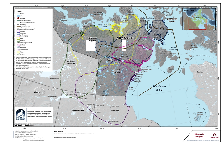 This Government of Nunavut map shows the distribution of various barren ground caribou herds in Nunavut's interior Kivalliq region. The red dot, west of Baker Lake, is the location of the proposed Kiggavik uranium mine. (MAP COURTESY NIRB PUBLIC REGISTRY)