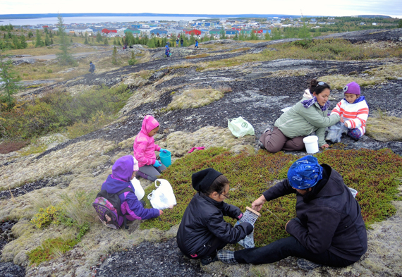 Pitakallak elementary school in Kuujjuaq organized a berry picking outing with students Sept. 12, on a hill top overlooking Nunavik's largest community. (PHOTO BY ISABELLE DUBOIS) 