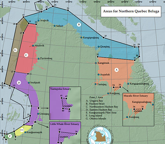 Nunavik's revised beluga management zones. (IMAGE COURTESY OF NMRWB)