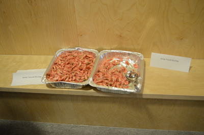 Samples of shrimp caught in Jones Sound near Grise Fiord. (PHOTOS COURTESY OF THE AFA)