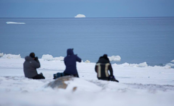 The celebration of polar bears spotted outside of Clyde River has been drawing photographers from the nearby community. (PHOTO  BY NIORE IQALUKJUAK) 