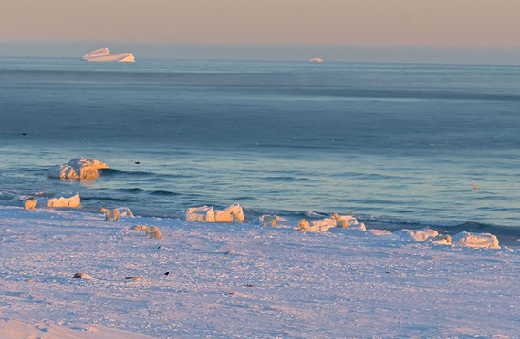 Look closely and see the polar bears dotting the shoreline of Baffin Bay near Clyde River Nov. 2. (PHOTO BY NIORE IQALUKJUAK) 