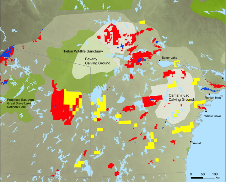 A 2011 map showing the range of the Beverly and Qamanirjuaq caribou herds and their calving grounds as well as mineral leases (blue), mineral claims (red), prospecting permits (yellow), and protected areas (light green) in the area. The blue spot surrounded by red, just west of Baker Lake, is where Areva hopes to build its uranium mine. Other maps on the BQCMB website show numerous uranium company mineral claims on traditional caribou calving grounds. (PHOTO COURTESY OF BQCMB)