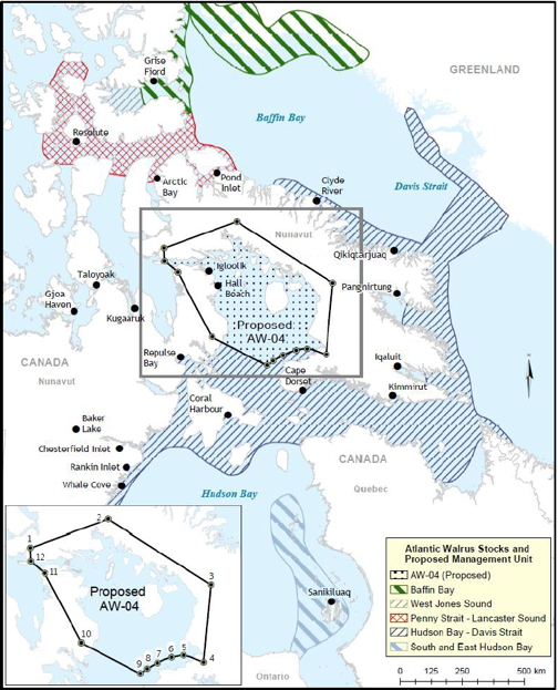 The proposed boundary for a new Foxe Basin walrus management unit. Baffin residents will get an opportunity to learn more about, and comment on, the new management plan, and quota of 116 walrus for that area, at meetings in Igloolik Jan. 14 and Jan. 15. (DFO MAP)