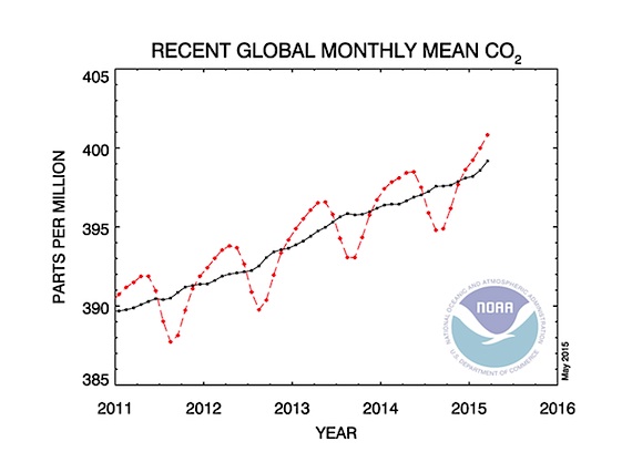 This graph shows how carbon dioxide in the atmosphere has risen to high levels. (GRAPH COURTESY OF NOAA)
