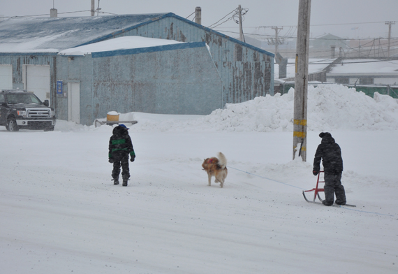Kuujjuamiut youth steer their sled dog up a street through light flurries in Nunavik's largest community Feb. 20. Temperatures in the region went up to a balmy -3C over the weekend, with sunshine and more seasonal temperatures returning to Kuujjuaq Feb. 22. (PHOTO BY SARAH ROGERS) 