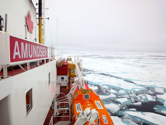 The CCGS Amundsen plows through early August ice in the Northwest Passage. But Canada needs more than new icebreakers — it also needs a new framework for Arctic marine traffic which would see more Inuit input and involvement, a new report from the Pew Charitable Trust says. (PHOTO BY JANE GEORGE)