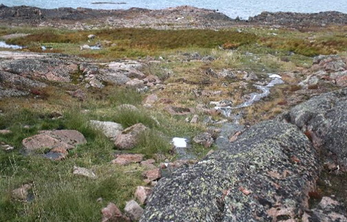 The wetland treatment area in Kugaaruk, photographed in 2012. (PHOTO BY ROB JAMIESON)