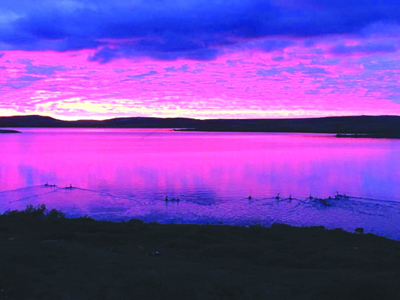 The sunset over eastern Hudson Bay turns to deep pink and purple July 28, as geese scatter from the shores of the community of Inukjuak. Nunavik's Hudson coast has above-seasonal temperatures and sun in its forecast for the first half of the week. (PHOTO BY BOBBY MINA)