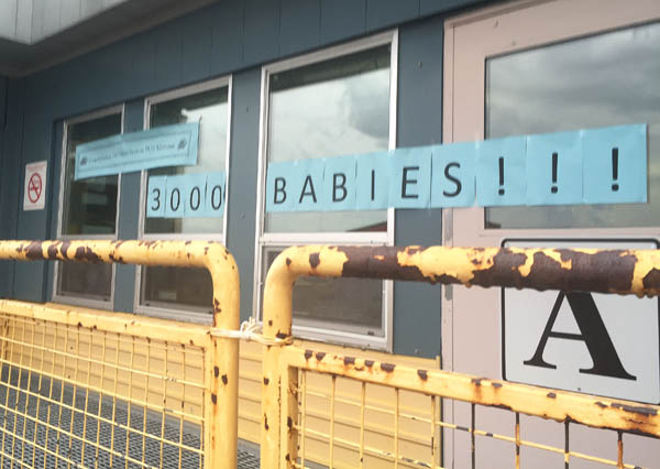 The maternity centre celebrates its 3,000th birth, a huge milestone for the birthplace of Nunavik’s modern midwifery movement. (PHOTO COURTESY OF A. NAVICKAS)
