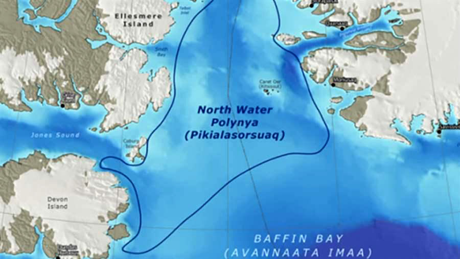 The Pikialaorsuaq Commission, comprising the ICC's international chair, Okalik Eegeesiak, former Nunavut premier Eva Aariak and former Greenland premier Kuupik Kleist, say the North Water polynya should be managed by Inuit. (PEW TRUST MAP)