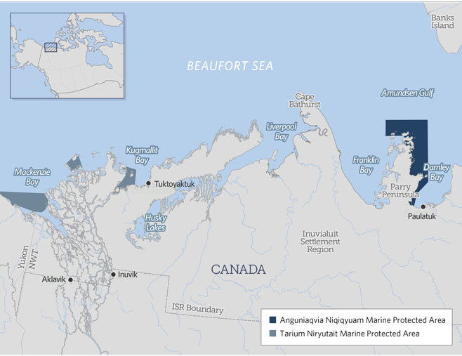 The upper right-hand section of this map shows the location of the Anguniaqvia Niqiqyuam protected area near Paulatuk on the west side of Darnley Bay. (OCEANS NORTH IMAGE)