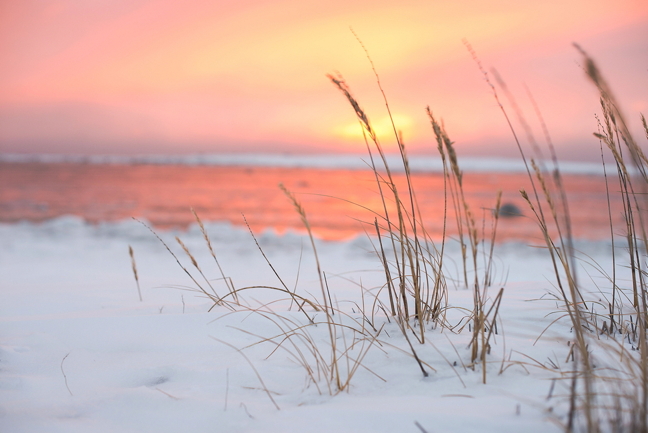A 3:10 p.m. sunset of peach and gold this week on the west coast of Hudson Bay, about 25 kilometres east of Rankin Inlet. By the end of November, the Kivalliq hub community will have only about five and a half hours of daylight heading toward the shortest day—the winter solstice—on Dec. 21. Here's an early wish for a safe and enjoyable weekend. (PHOTO BY PUTULIK PHOTOGRAPHY) 